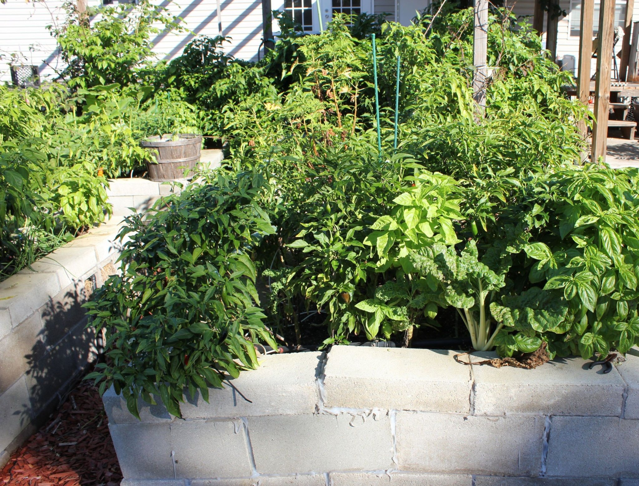 5 Raised Garden Bed Materials You Should Never Use