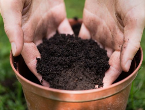 How to Refresh Old Potting Soil
