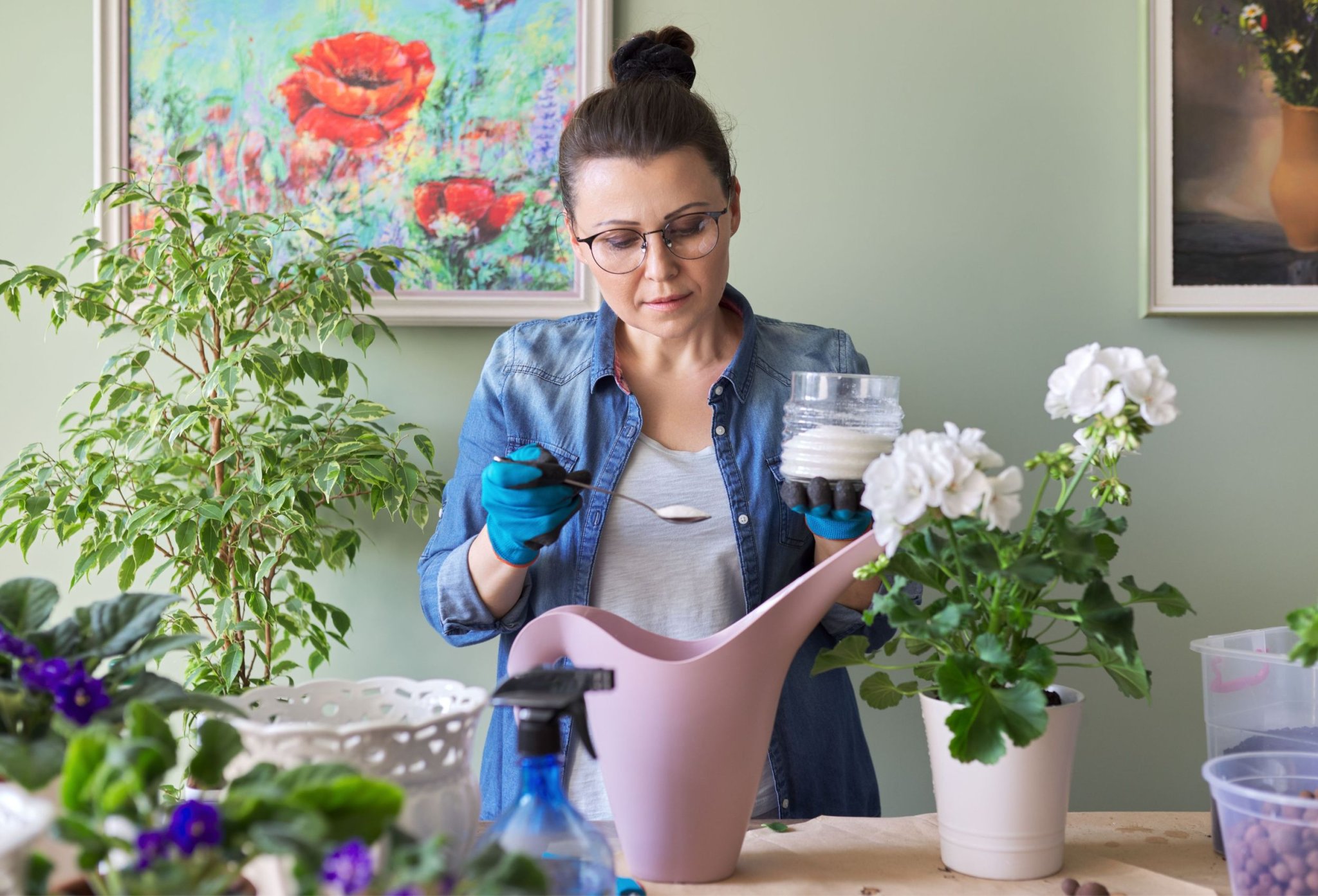6 Reasons To Use Epsom Salt in Your Houseplants Today