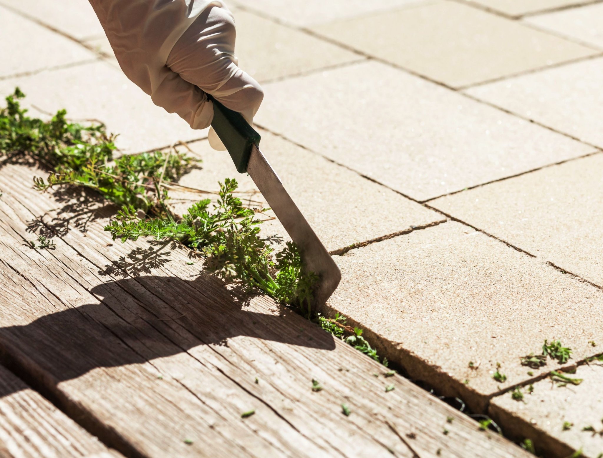 9 Ways to Remove Weeds From Your Patio or Pavers