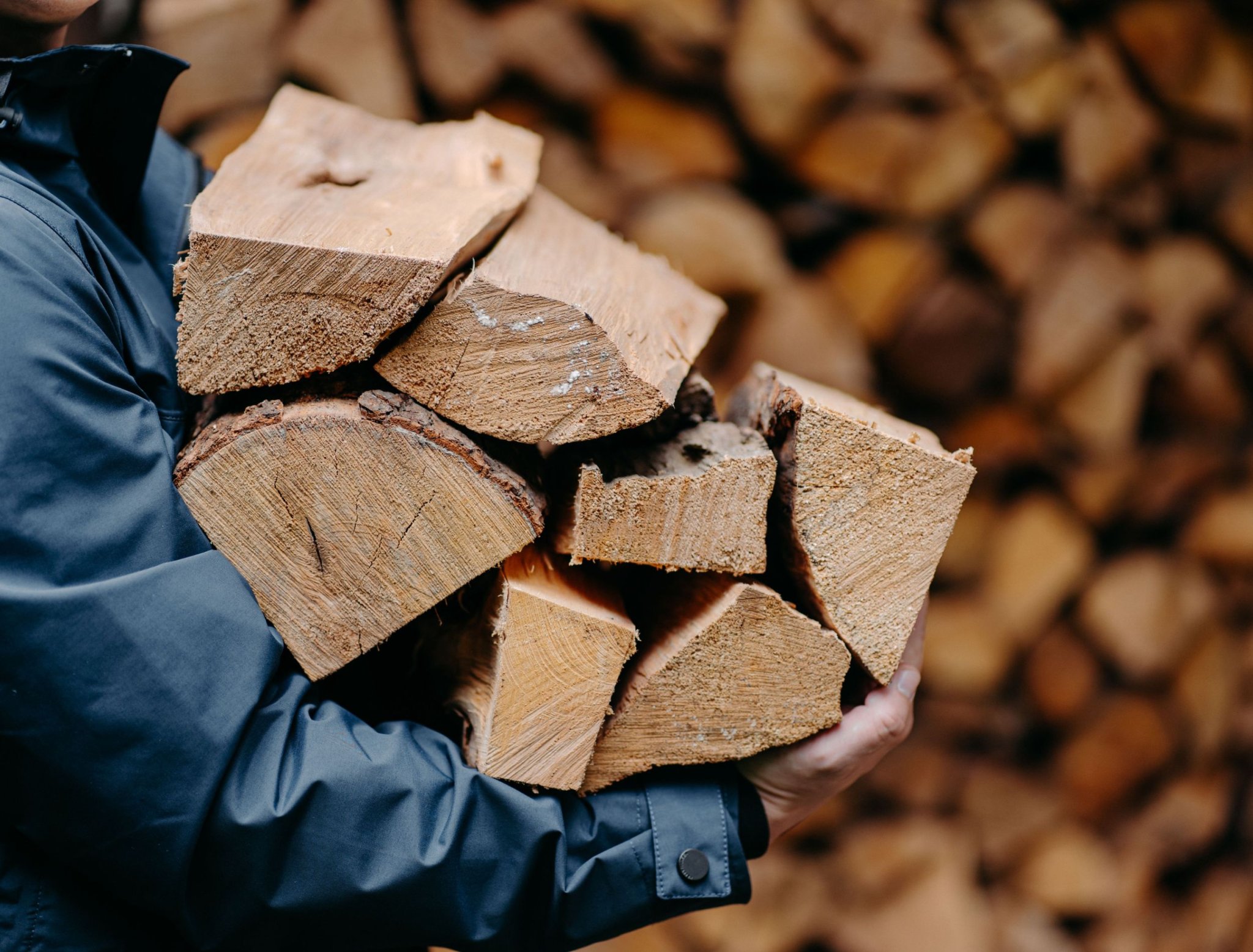 Hardwood vs Softwood: Which Is Better Firewood?