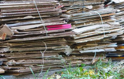 Using Cardboard As A Weed Barrier - BackyardDigs