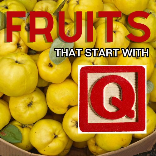 Fruits That Start With Q
