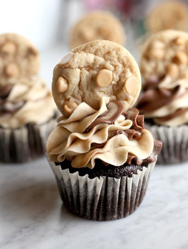 Chocolate Peanut Butter Cupcakes - Bakerella