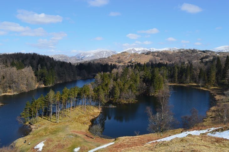 Tarn Hows – An Icon Of The Lakes | BaldHiker