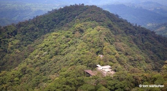 Ecuador - Mashpi Lodge And Biodiversity Reserve | BaldHiker