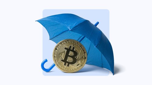 article preview