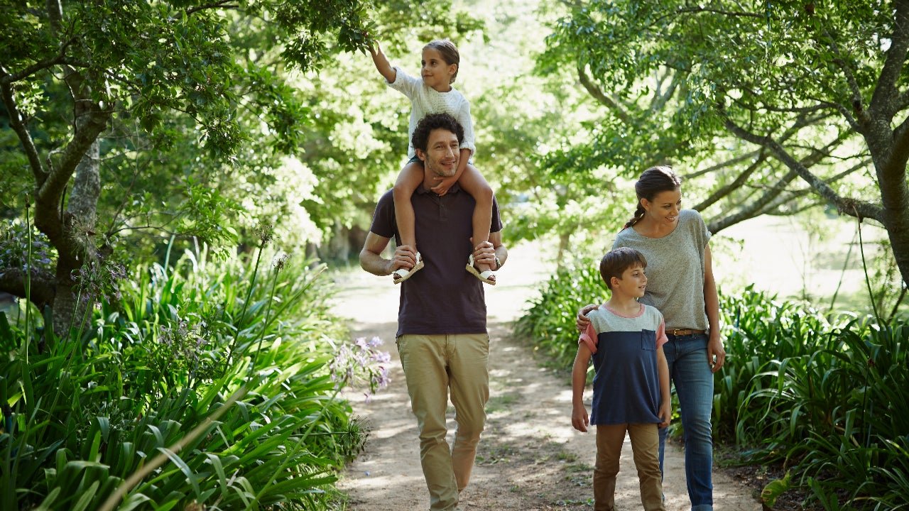 Estate Planning Checklist: 7 Key Steps To Making A Successful Plan | Bankrate
