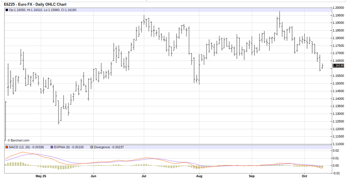 The Bears Are in Control of the Euro. Make This 1 Trade Now.