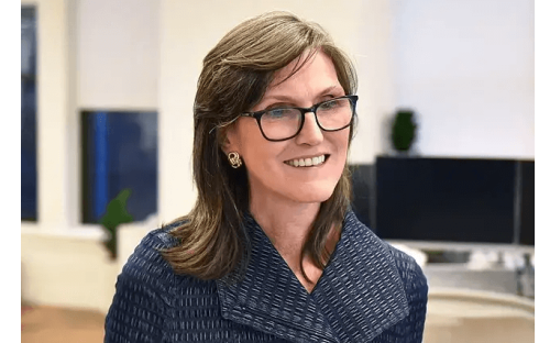 Cathie Wood Is Betting Big on This Hidden-Gem AI Stock