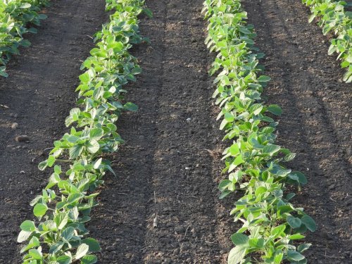 Grain futures slide lower to start a new week of trade