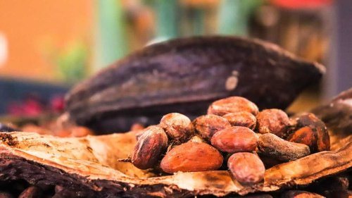 Supply Concerns and Weather Worries Push Cocoa Prices Higher
