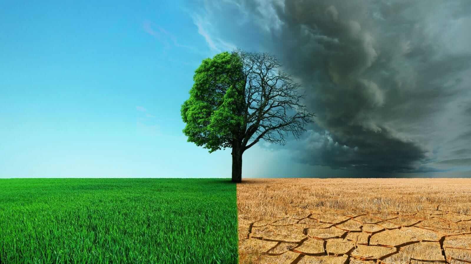 Seasonal tendencies in commodity trading