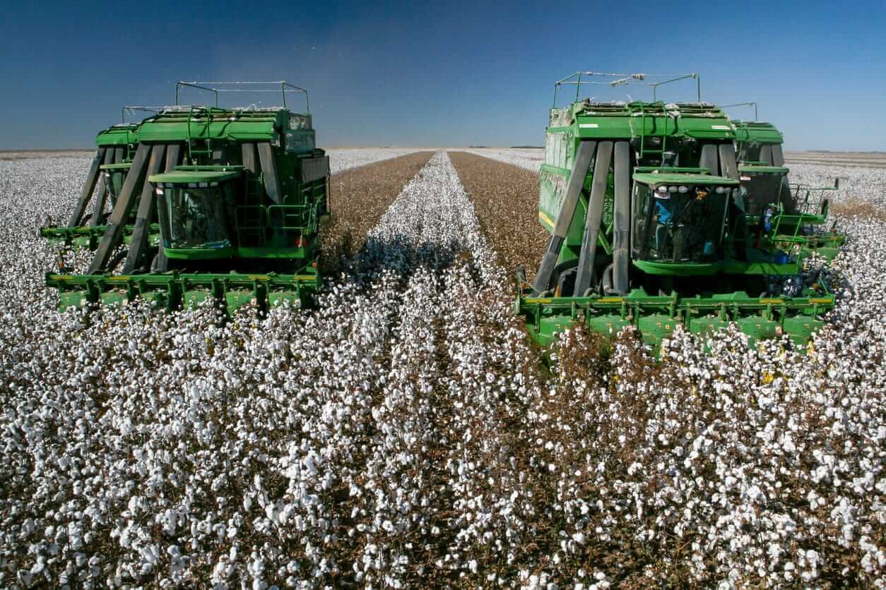 Cotton Turning Higher at Friday’s Midday