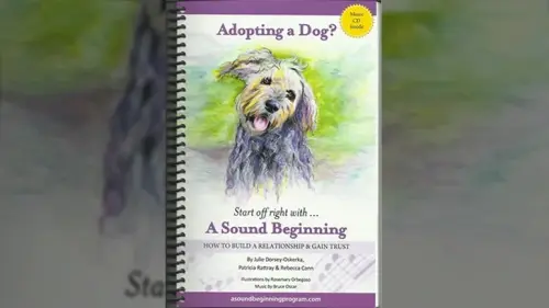 Building an Unbreakable Forever-Bond With Your Adopted Dog