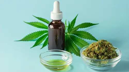 The Difference Between Marijuana and CBD Oil for Pets