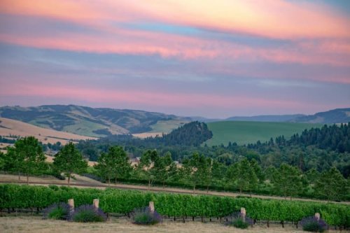Living in Wine Country: Five Regions Beyond Napa Valley and Sonoma County