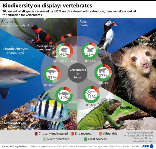 Biodiversity On Display: Vertebrates