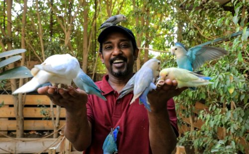 Sudan Sanctuary Offers Haven For Exotic Birds