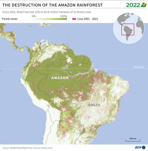 Destruction Of The Amazon Rainforest | Flipboard