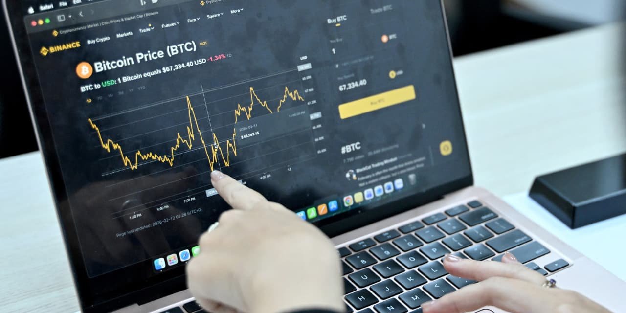 Crypto Is Now Mainstream. Investors of All Ages Are Diving In.