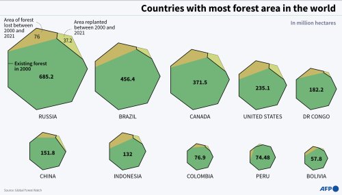 Countries With The Most Forests In The World