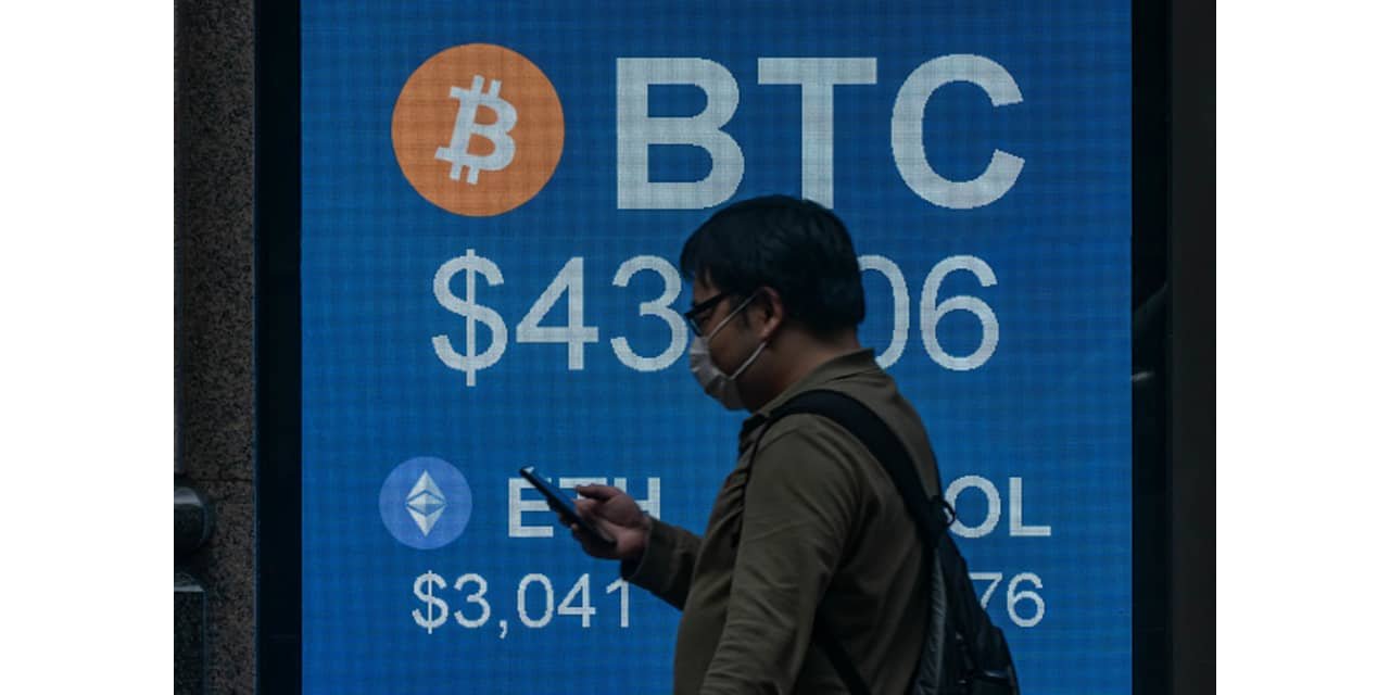 Bitcoin Hits 10-Month Low. Ether Dives as Trump’s Fed Pick Tanks Cryptos.