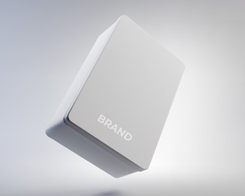 The Power of Private Brands - Barry Litwin