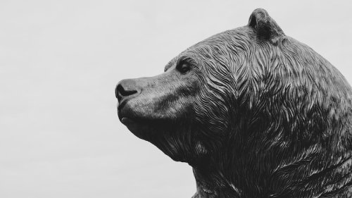 Bärenmarkt: 5 Gründe, die dich an der Börsen besser schlafen lassen