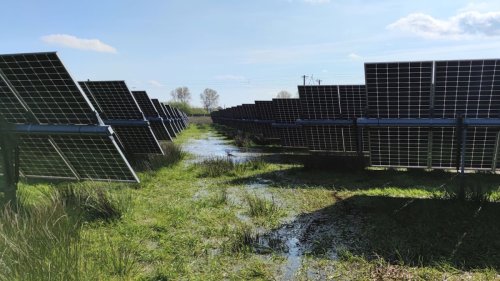 Solaranlagen in Mooren: Dreifacher Klima- und Umweltschutz