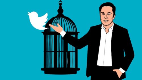Kehrtwende: Warum Elon Musk Twitter nun doch kaufen will