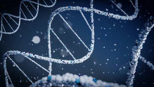 Forschende entwickeln winzigen DNA-Motor samt Energiespeicher