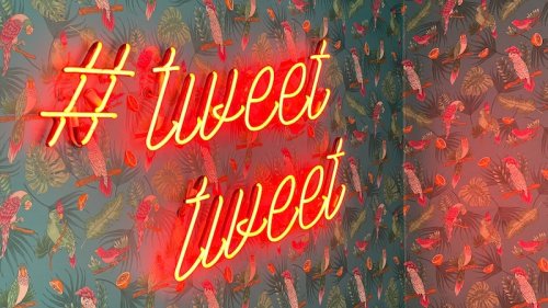 Twitter-Algorithmus: Diese 35 Promis erhalten eine Sonderbehandlung