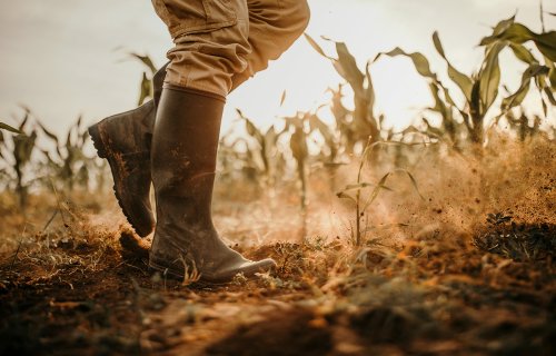 Why soil is disappearing from farms