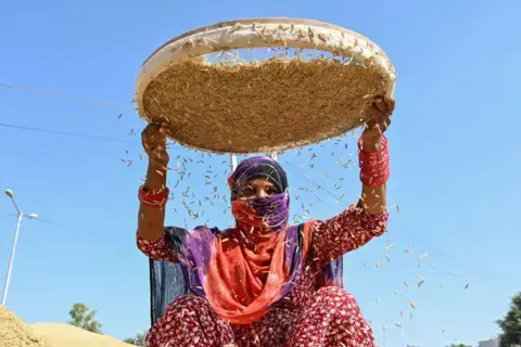 Trump wants India to buy US corn - but here's why it probably won't