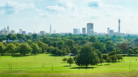 Swedish model could help London's trees, city told
