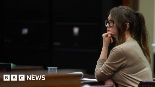 Netflix and Anna Delvey: The race to secure the story of New York's 'fake heiress'