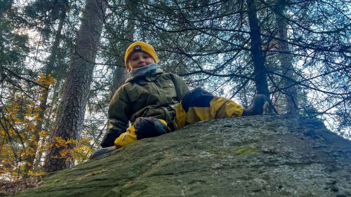 How forest schools boost children’s immune systems