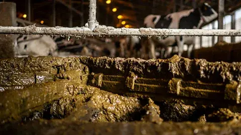 The Japanese town turning cowpats into hydrogen fuel