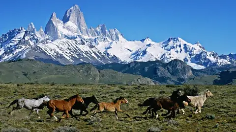 Destination dupes: Where to go instead of the US