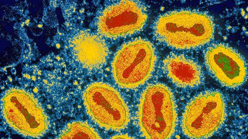 The deadly viruses that vanished