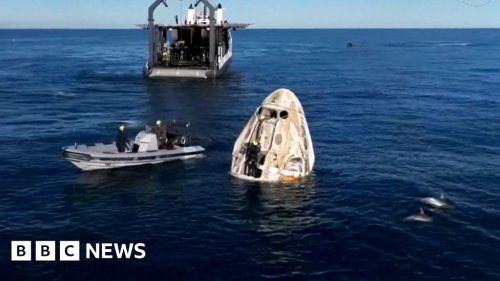 Watch: Dolphins surround Dragon capsule after successful splashdown