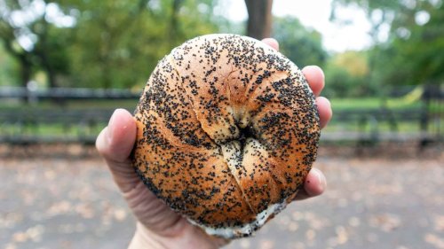 The eight best bagels in NYC, according to the city's Bagel Ambassador