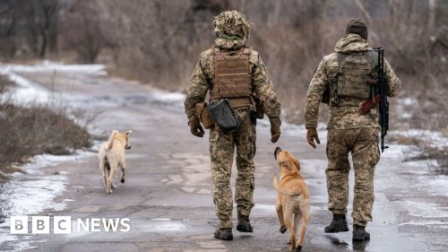 UK must do more to support Ukraine - Commons Defence Chair