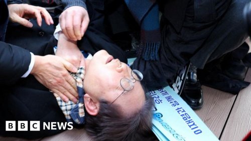 Opposition leader stabbed in neck in South Korea - BBC News