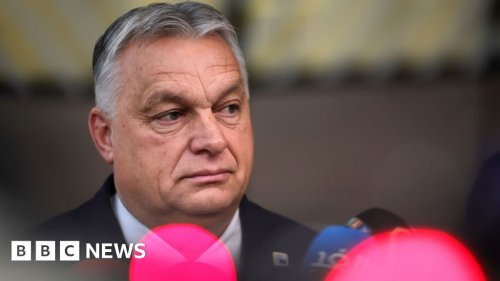 Who is Viktor Orban, Hungarian PM with 14-year grip on power?