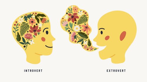 Words that reveal if you are an extrovert or an introvert