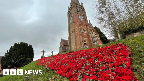 In pictures: Poppy displays across southern England