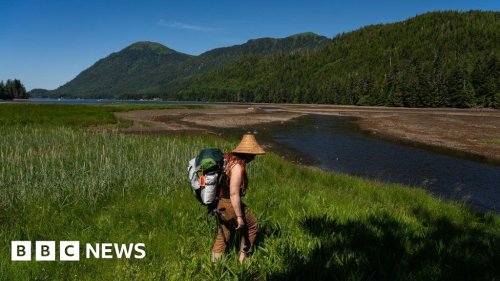 Biden restores protections to Alaska's Tongass National Forest