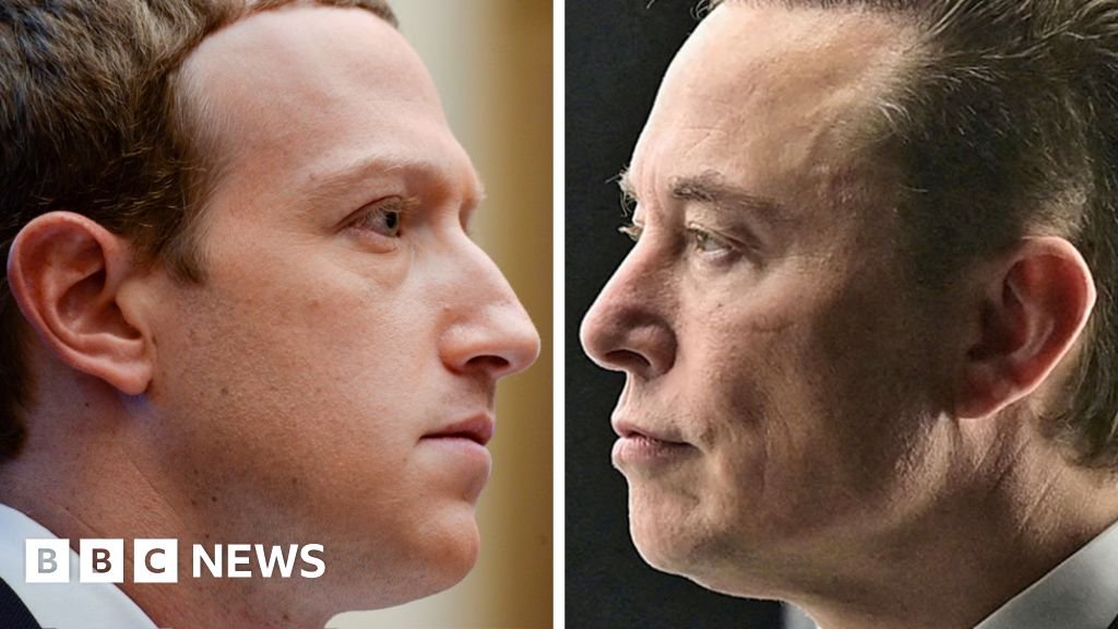 Zuckerberg 'not holding breath' over Musk cage fight